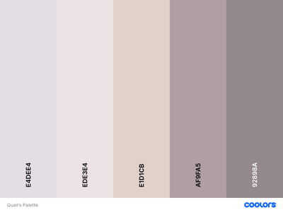 Quail's Palette.png