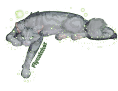 challenge 14 Flycatcher-starclan.png